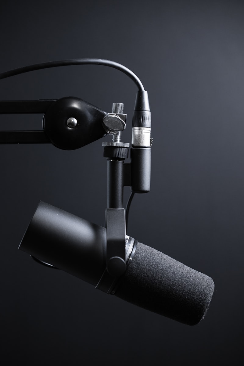 Professional broadcast microphone