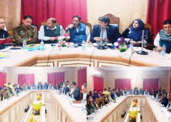 MLA Karnah reviews development Scenario of the constituency