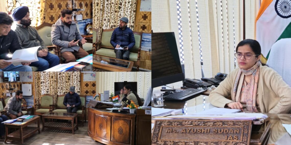 DDC Kupwara reviews progress under NADCP AI Programe