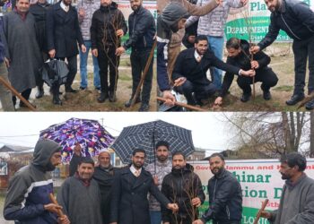 Plantation drive held at Handwara
