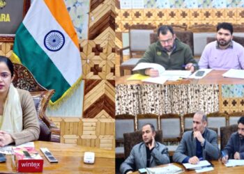 DC Kupwara Reviews Progress Under PMEGP Scheme